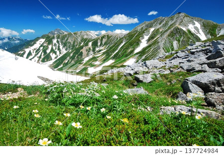 立山アルペンルート 夏山縦走 立山アルペンルート 夏山縦走 137724984