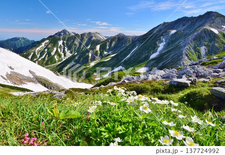 立山アルペンルート 夏山縦走 立山アルペンルート 夏山縦走 137724992