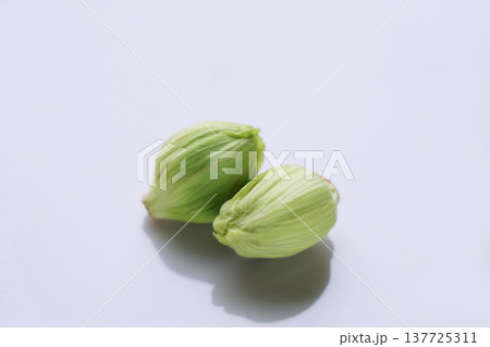 山菜（ふきのとう） 137725311
