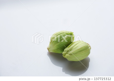 山菜(ふきのとう) 山菜(ふきのとう) 137725312