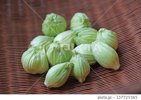山菜（ふきのとう） 137725365