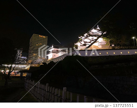 福山駅前の街並みと福山城ライトアップ夜景(広島県福山市) 福山駅前の街並みと福山城ライトアップ夜景(広島県福山市) 137725551