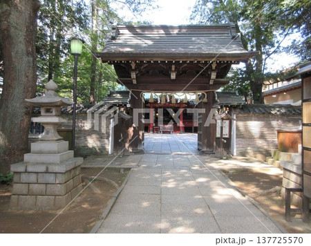 東京都港区！赤坂氷川神社の桜門 137725570