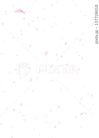 背景素材_花吹雪_白背景 137726018