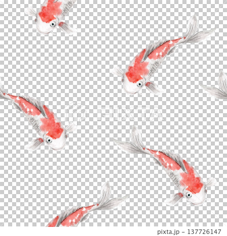 Seamless koi fish pattern, Japanese carp swimming, oriental pond style. Watercolor illustration isolated on white, repeating nature background for textile, wallpaper, packaging, wrapping paper, design Seamless koi fish pattern, Japanese carp swimming, oriental pond style. Watercolor illustration isolated on white, repeating nature background for textile, wallpaper, packaging, wrapping paper, design 137726147