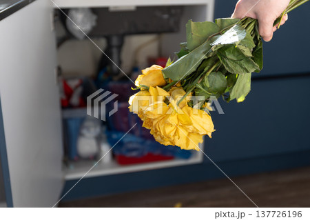 Woman throwing away a bouquet of withered yellow roses into a kitchen bin. End of holiday concept. Sadness and separation after a celebration. Decluttering and cleaning a messy home. photography Woman throwing away a bouquet of withered yellow roses into a kitchen bin. End of holiday concept. Sadness and separation after a celebration. Decluttering and cleaning a messy home. photography 137726196