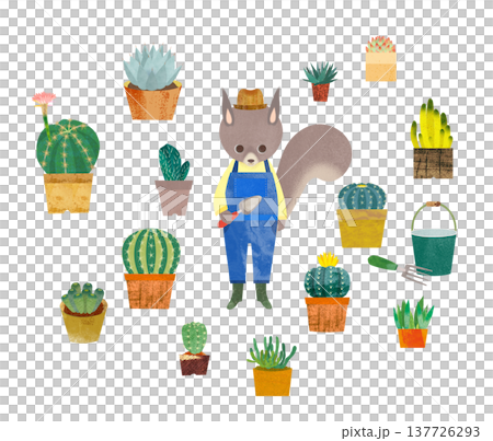 松鼠和仙人掌 松鼠和仙人掌 137726293