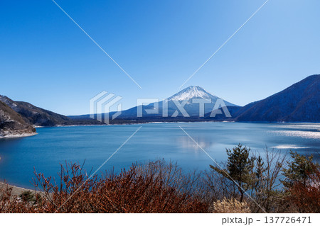 早春の本栖湖から望む富士山 山梨県 早春の本栖湖から望む富士山 山梨県 137726471
