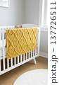 A knitted throw with a floral pattern on a sofa in a bright living room. AI 137726511