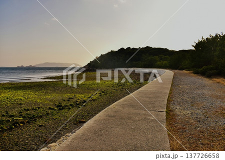 象鼻ケ岬の静かな夕暮れの海 137726658