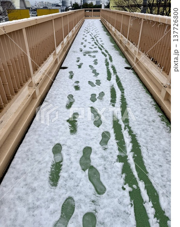 横断歩道に雪の足跡 横断歩道に雪の足跡 137726800
