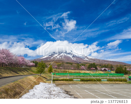 雪の残る岩木山と手前に広がる公園の駐車場や桜並木の春景色 (青森県、弘前) 雪の残る岩木山と手前に広がる公園の駐車場や桜並木の春景色 (青森県、弘前) 137726813
