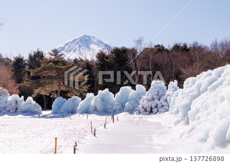 西湖野鳥の森公園　西湖樹氷まつり　富士河口湖町 137726898