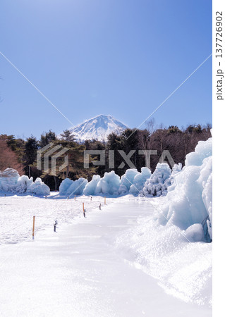 西湖野鳥の森公園　西湖樹氷まつり　富士河口湖町 137726902