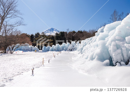 西湖野鳥の森公園　西湖樹氷まつり　富士河口湖町 137726928