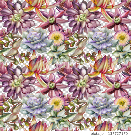 Decorative rosette succulents, Leucadendron protea, daisy flowers. Isolated illustration hand drawn in watercolor. Seamless botanical pattern. Apparel prints, home textiles, eco lifestyle merchandise. 137727170