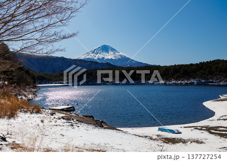 早春の西湖　春雪と富士山の風景　富士河口湖町 137727254