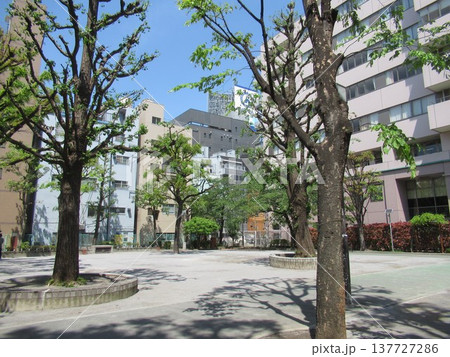 西町公園付近 137727286