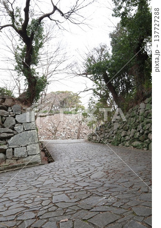2024年・福岡・福岡市・風景・中央区城内・城・福岡城跡・其の九十四 137727288