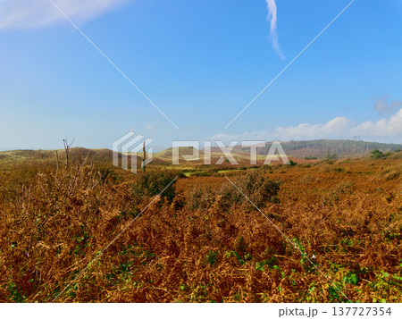 Brown and green autumn landscape with low hills and clear blue sky. Brown and green autumn landscape with low hills and clear blue sky. 137727354