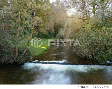 Calm river with small waterfalls and a bridge surrounded by trees. Calm river with small waterfalls and a bridge surrounded by trees. 137727360