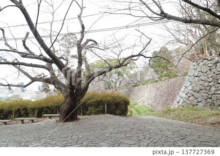 2024年・福岡・福岡市・風景・中央区城内・城・福岡城跡・其の九十五 2024年・福岡・福岡市・風景・中央区城内・城・福岡城跡・其の九十五 137727369