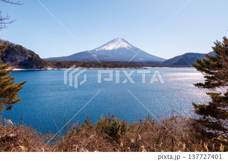 早春の本栖湖から望む富士山　山梨県 137727401