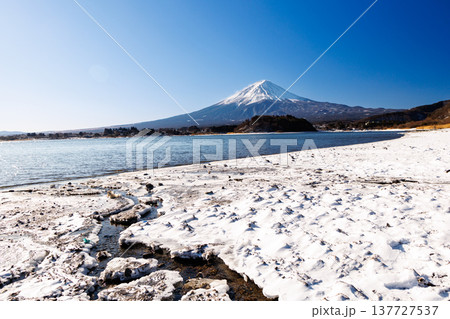 早春の河口湖の湖畔から富士山を望む　河口湖大石公園 137727537