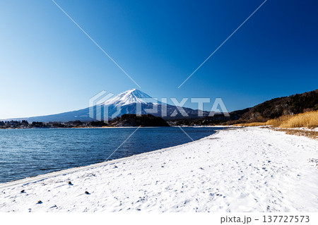 早春の河口湖の湖畔から富士山を望む　河口湖大石公園 137727573