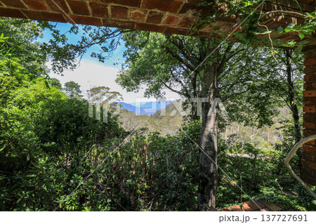 Scenic view across Everglades Gardens in the Blue Mountains of New South Wales, Australia, showing landscaped gardens, pathways and surrounding mountain scenery. Scenic view across Everglades Gardens in the Blue Mountains of New South Wales, Australia, showing landscaped gardens, pathways and surrounding mountain scenery. 137727691
