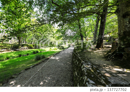 Scenic view across Everglades Gardens in the Blue Mountains of New South Wales, Australia, showing landscaped gardens, pathways and surrounding mountain scenery. 137727702