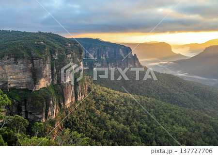 Sunrise light illuminating the Grose Valley viewed from Govetts Leap Lookout in the Blue Mountains of New South Wales, Australia, with cliffs, forested valley and morning sky. 137727706