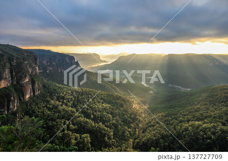 Sunrise light illuminating the Grose Valley viewed from Govetts Leap Lookout in the Blue Mountains of New South Wales, Australia, with cliffs, forested valley and morning sky. Sunrise light illuminating the Grose Valley viewed from Govetts Leap Lookout in the Blue Mountains of New South Wales, Australia, with cliffs, forested valley and morning sky. 137727709