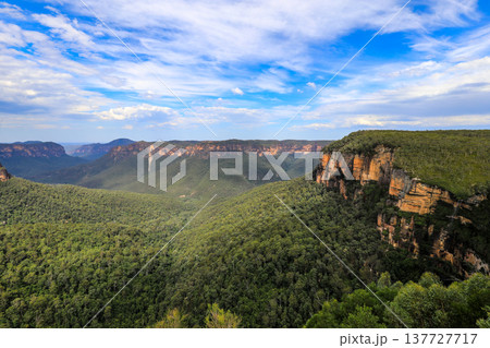 Sunrise light illuminating the Grose Valley viewed from Govetts Leap Lookout in the Blue Mountains of New South Wales, Australia, with cliffs, forested valley and morning sky. 137727717
