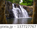 Rochester Falls Cascading Over Basalt Columns in Mauritius 137727767
