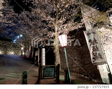 三重県松阪市_松坂城跡_夜桜10_2023年4月 137727855