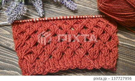 Knitting patterns with a raised pattern and yarn on a dark background Terracotta 137727956