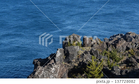 城ヶ崎海岸の風景 137728082