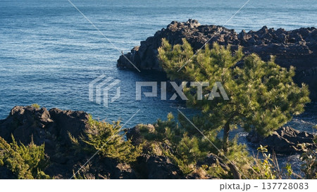 城ヶ崎海岸の風景 137728083