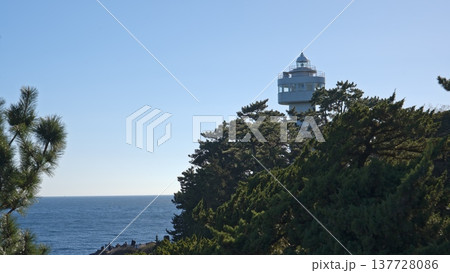 城ヶ崎海岸の風景 137728086