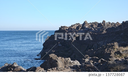 城ヶ崎海岸の風景 137728087