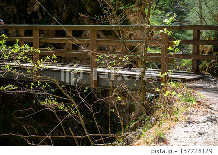 View of a small wooden bridge over a mountain river among the forest View of a small wooden bridge over a mountain river among the forest 137728129