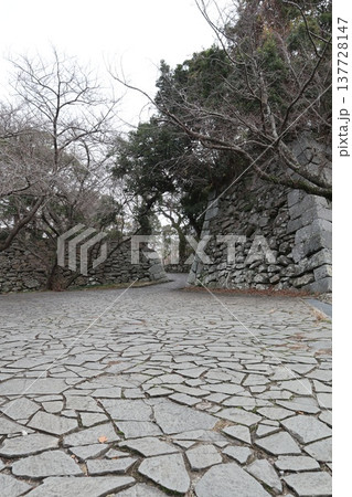 2024年・福岡・福岡市・風景・中央区城内・城・福岡城跡・其の九十七 137728147