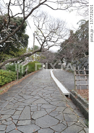 2024年・福岡・福岡市・風景・中央区城内・城・福岡城跡・其の九十八 137728201