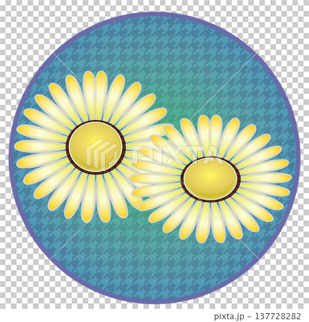 円形背景のついたデージーのイラスト 円形背景のついたデージーのイラスト 137728282