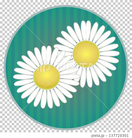 雛菊插圖,圓形背景 雛菊插圖,圓形背景 137728301