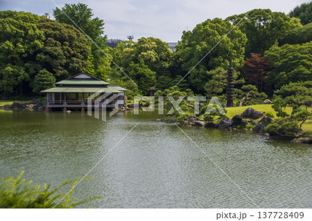 東京の清澄白河の庭園の風景 東京の清澄白河の庭園の風景 137728409