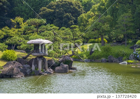 東京の清澄白河の庭園の風景 137728420