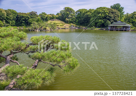 東京の清澄白河の庭園の風景 137728421