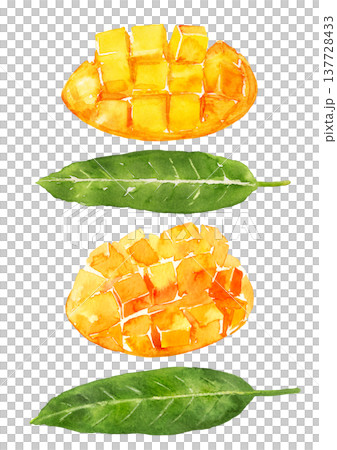 一幅手繪水彩插圖，描繪了切開的芒果及其葉子。 137728433